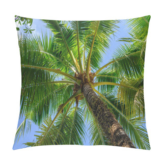 Personality  Closeup Of Branches Of Coconut Palms Under Blue Sky At Sunny Day. Palm Tree View From Below Summer Panoramic Background. Pillow Covers