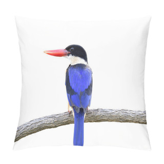 Personality  Beautiful Blue Bird, Black-capped Kingfisher (halcyon Pileata) Sitting On Wooden Branch Isolated On White Background Pillow Covers