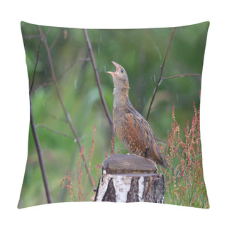 Personality  Corn Crake Singing Near A Stump  Pillow Covers