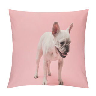 Personality  White French Bulldog With Dark Nouse And Mouth On Pink Background Pillow Covers