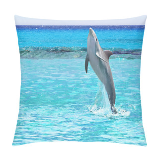 Personality  Dolphin Jumping Of The Caribbean Sea Pillow Covers