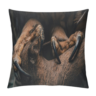 Personality  Close Up View Of Wild Owl Claws In Dark On Wooden Branch Isolated On Black Pillow Covers