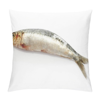Personality  Sardine, Pilchard At White Background  Pillow Covers