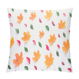 Personality  Set Of Different Leaves Isolated On White, Autumn Background Pillow Covers