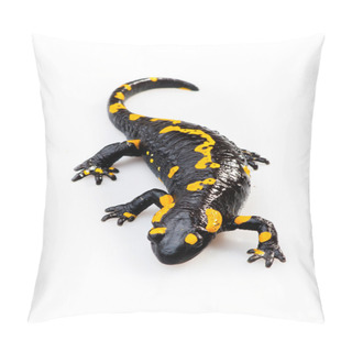 Personality  Fire Salamander(Salamandra Salamandra) Pillow Covers