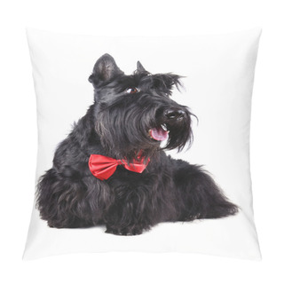 Personality  Dog In Bow Tie Pillow Covers