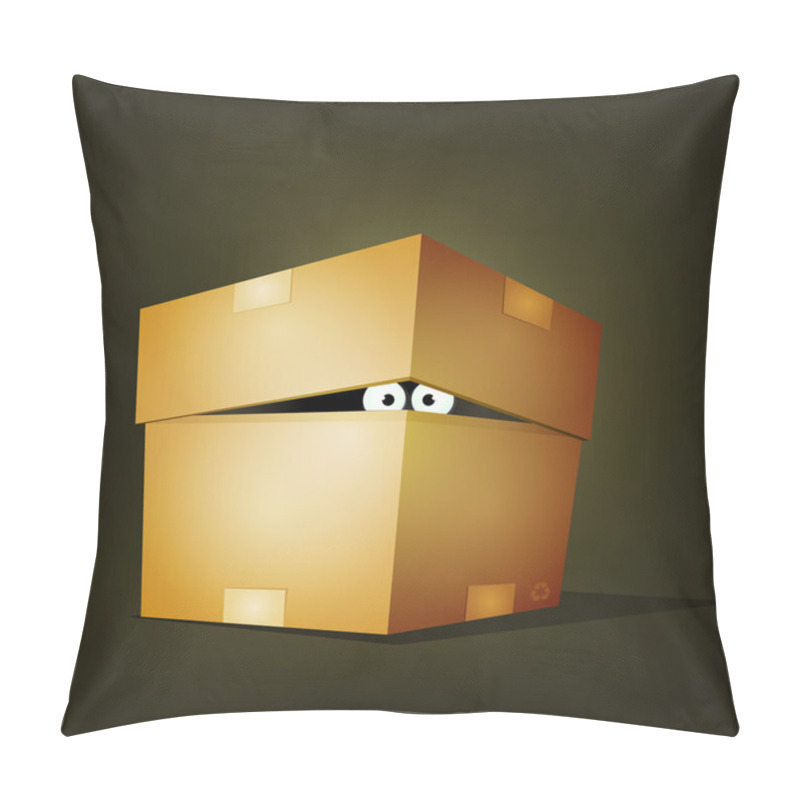Personality  Creature Inside Birthday Cardboard Box pillow covers