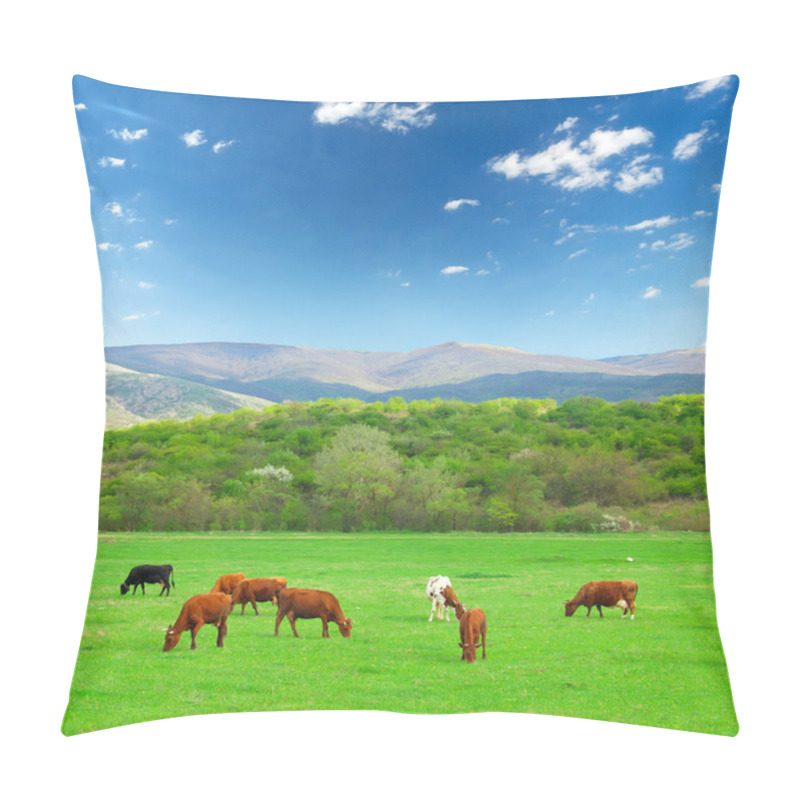 Personality  Cows on farm pillow covers