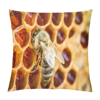 Personality  Bees In A Beehive On Honeycomb Pillow Covers