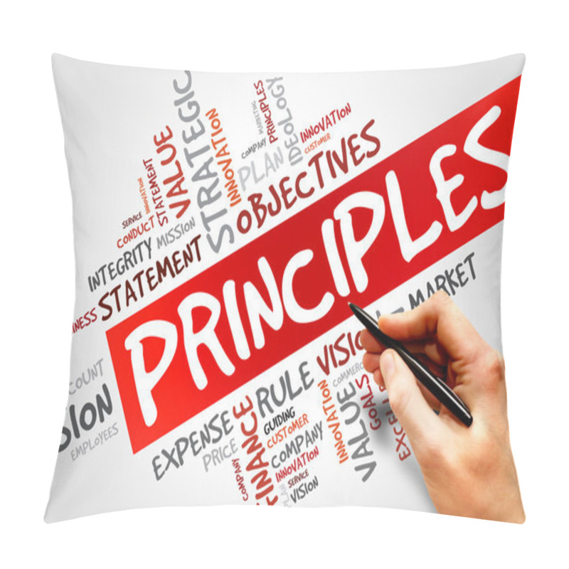 Personality  Principles Pillow Covers