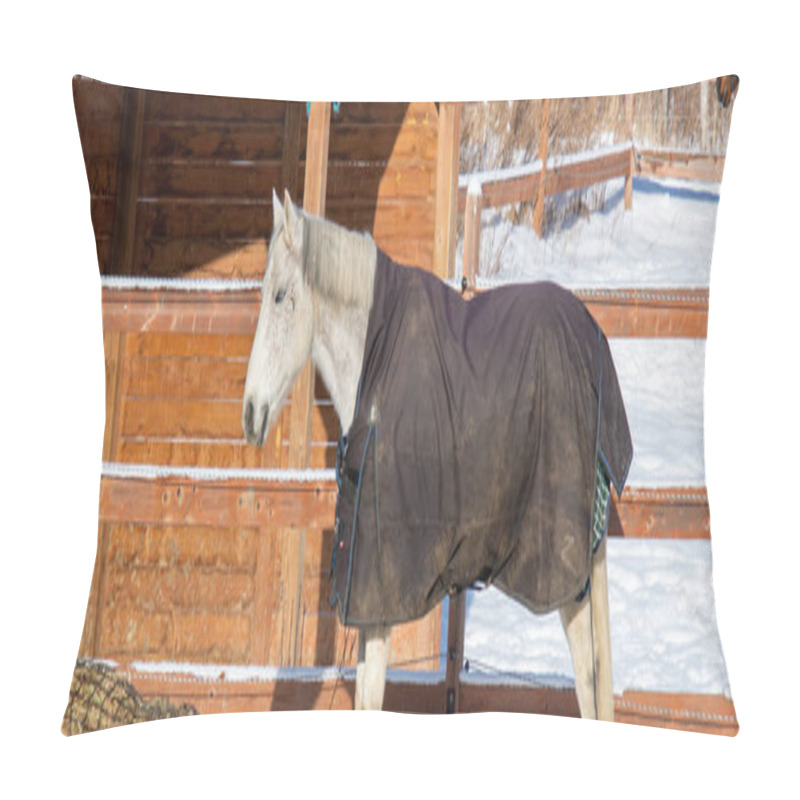 Personality  horse at snowy farm scene in sunlight pillow covers