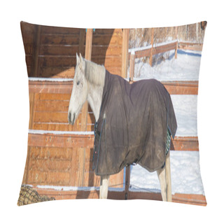 Personality  Horse At Snowy Farm Scene In Sunlight Pillow Covers