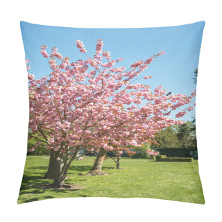 Personality  Cherry Blossom Trees On Green Lawn In Park Of Copenhagen, Denmark Pillow Covers