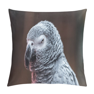 Personality  Close Up View Of Cute Vivid Grey Parrot Looking At Camera Pillow Covers