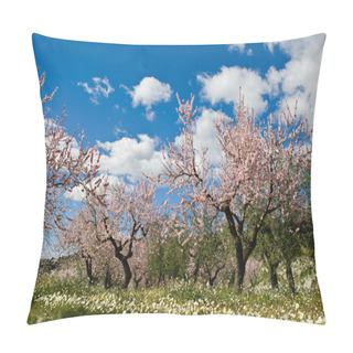 Personality  Almond Orchard In Blossom, Alicante , Spain Pillow Covers