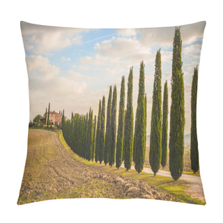 Personality  Tuscan Cypress Trees On The Way Home Pillow Covers