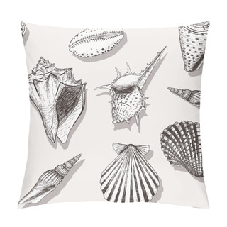 Personality  Sea Shell Pattern 4 Pillow Covers