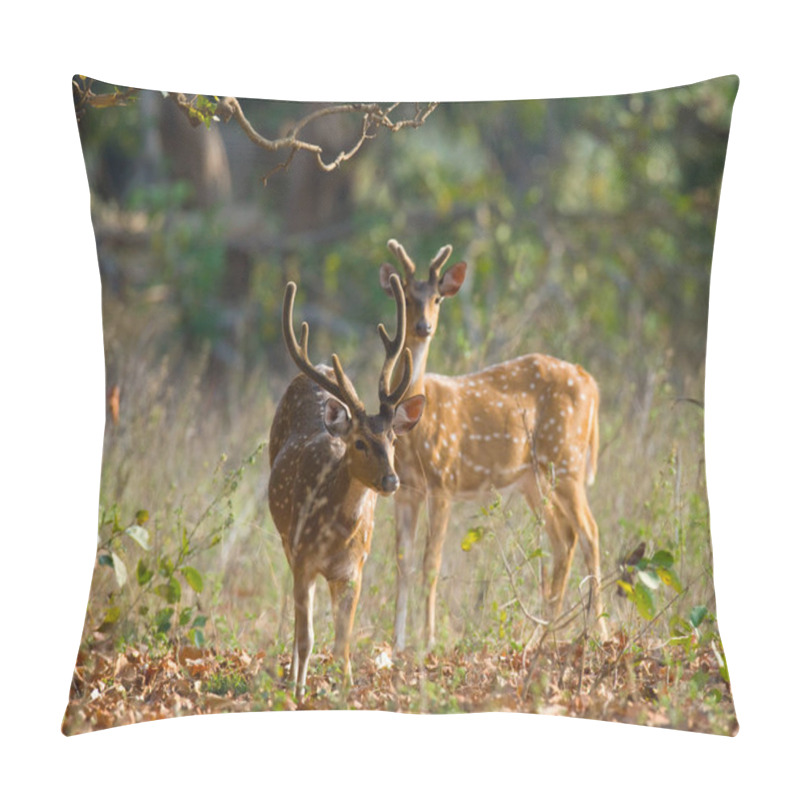 Personality  deer standing in jungle  pillow covers