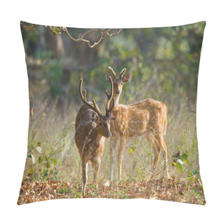 Personality  Deer Standing In Jungle  Pillow Covers
