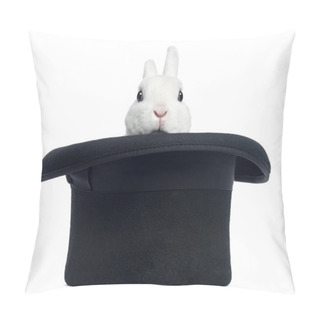 Personality  Mini Rex Rabbit Appearing From A Top Hat, Isolated On White Pillow Covers