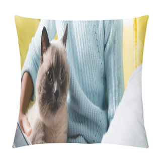 Personality  Cropped View Of Girl Embracing Cat At Home, Banner Pillow Covers