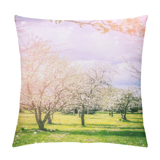 Personality  Blossoming Spring Trees Pillow Covers