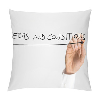 Personality  Handwritten Underlined Terms And Conditions Texts Pillow Covers