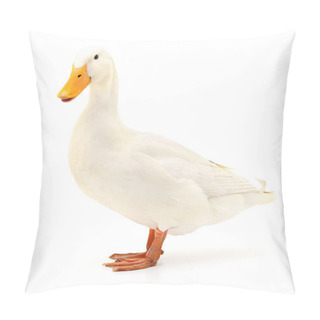 Personality  Duck On White. Pillow Covers