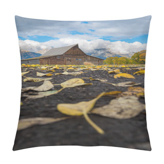 Personality  Mormon Row Historic, Grand Teton National Park Pillow Covers
