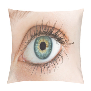 Personality  Blue Eye Pillow Covers