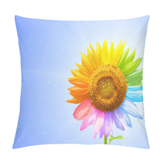 Personality  Colors Pillow Covers