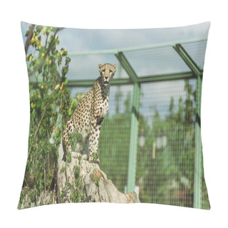 Personality  Selective Focus Of Wild Leopard Near Green Plants In Zoo  Pillow Covers