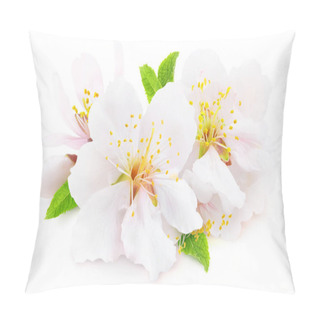 Personality  Isolated Blooming Almond. White Almond Tree Flowers With Leaves And Buds Isolated On White Background Pillow Covers