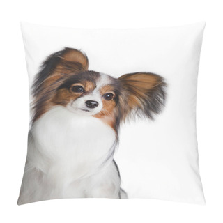 Personality  White-black-red-haired Papillon Breed Dog (continental Toy Spaniel) Portrait With A Slope On A White Background Indoors In The Studio Pillow Covers
