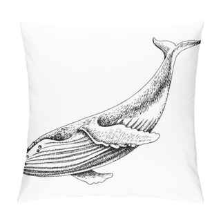 Personality  Big Whale Isolated On White Background Pillow Covers