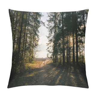 Personality  Trees In Forest On Sunset Pillow Covers