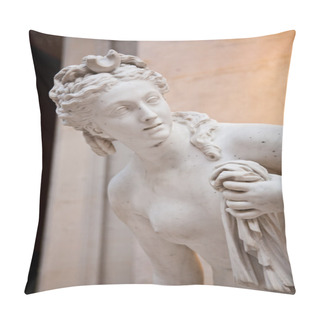 Personality  Venus - Lateral Profile Pillow Covers