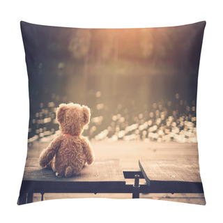 Personality  Teddy Bear In Bag Pillow Covers
