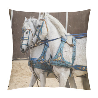 Personality  Roman Chariots Pillow Covers