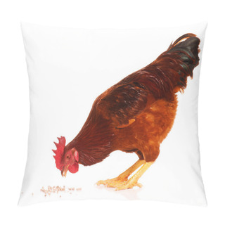 Personality  Chicken Pillow Covers
