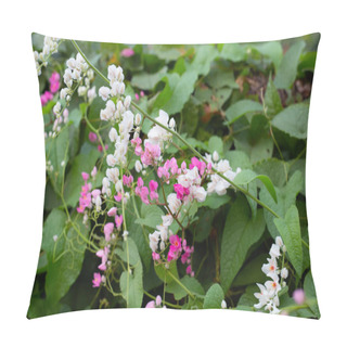 Personality  Mexican Creeper, Chain Of Love, Coral Vine. Pink Flower Pillow Covers