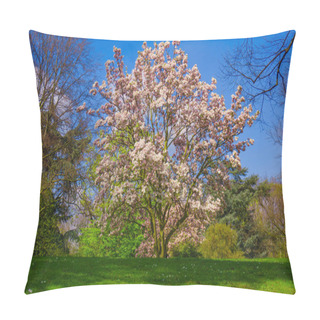 Personality  A Beautiful Magnolia Tree. Bloomy Magnolia Tree  Pillow Covers