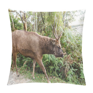 Personality  Deer Pillow Covers