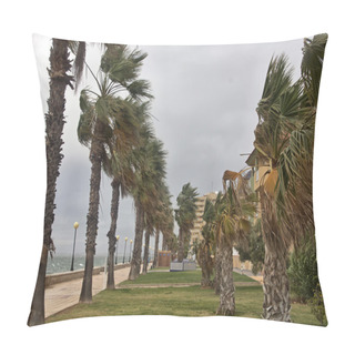Personality  A Storm Wind Stirred The Palms Of The Coast Pillow Covers