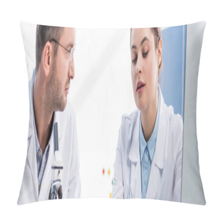 Personality  Panoramic Shot Of Molecular Nutritionists Talking In Lab  Pillow Covers