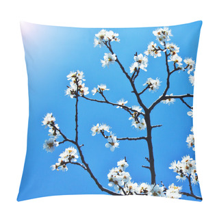 Personality  Blooming Tree Branch Over Blue Sky Pillow Covers
