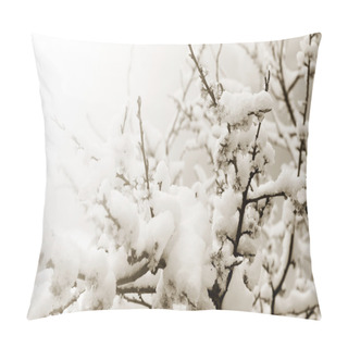 Personality  Flowering Branches Of A Plum Tree Covered With Snow. Selective Focus, Shallow Depth Of Field. Soft Focus Pillow Covers