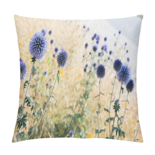 Personality  The Globe Thistles (Echinops) Plant Blooming Pillow Covers
