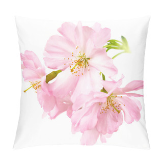 Personality  Cherry Blossoms Isolated On White Pillow Covers