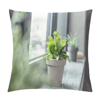 Personality  Green Plant In Flowerpot Pillow Covers